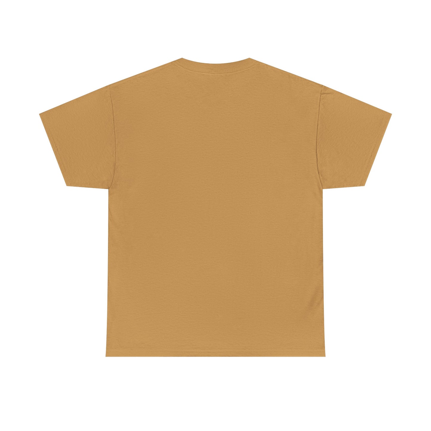 HOLY SPIRIT U. Collegiate Tee 🔥 EST. Pentecost | Comfort Colors