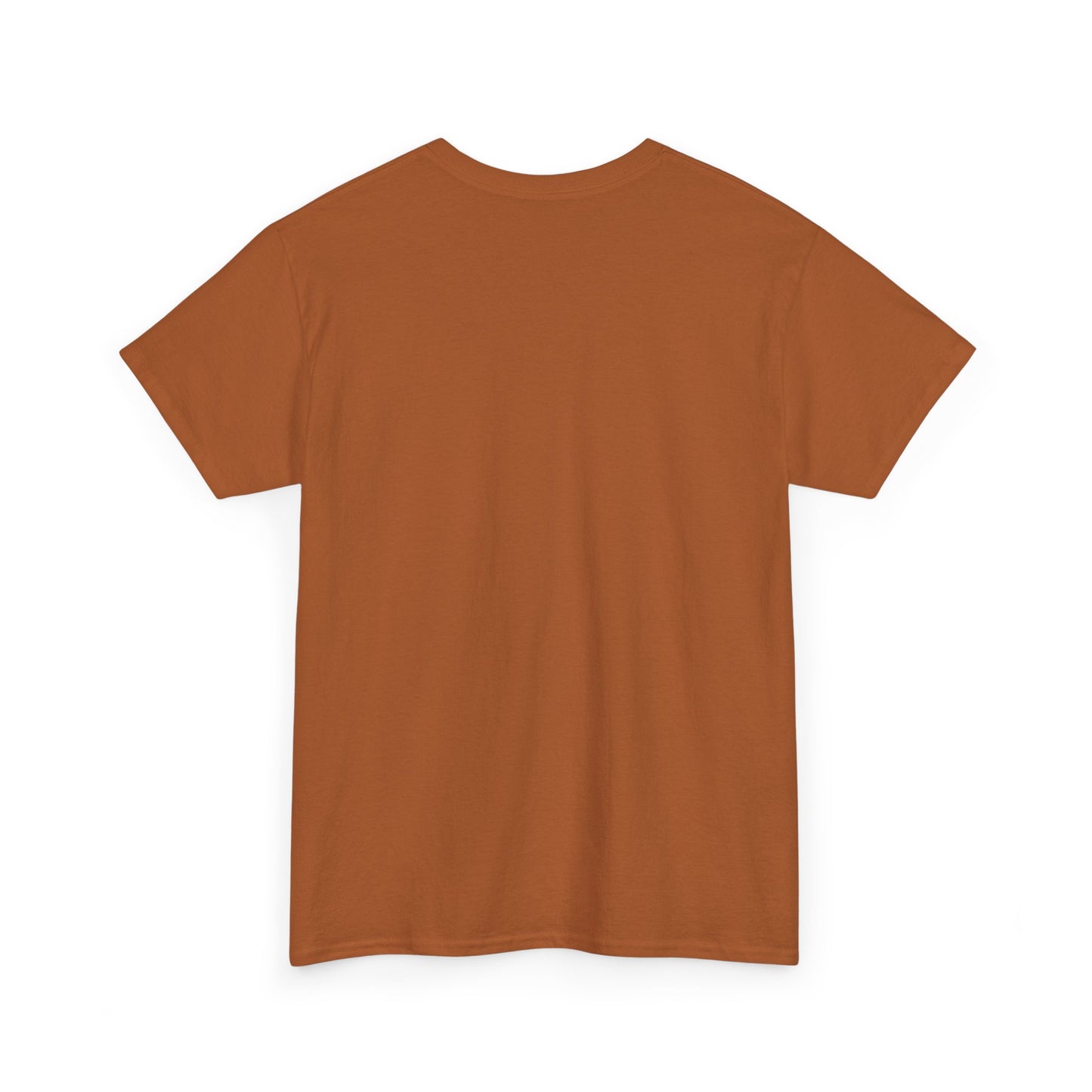 HOLY SPIRIT U. Collegiate Tee 🔥 EST. Pentecost | Comfort Colors