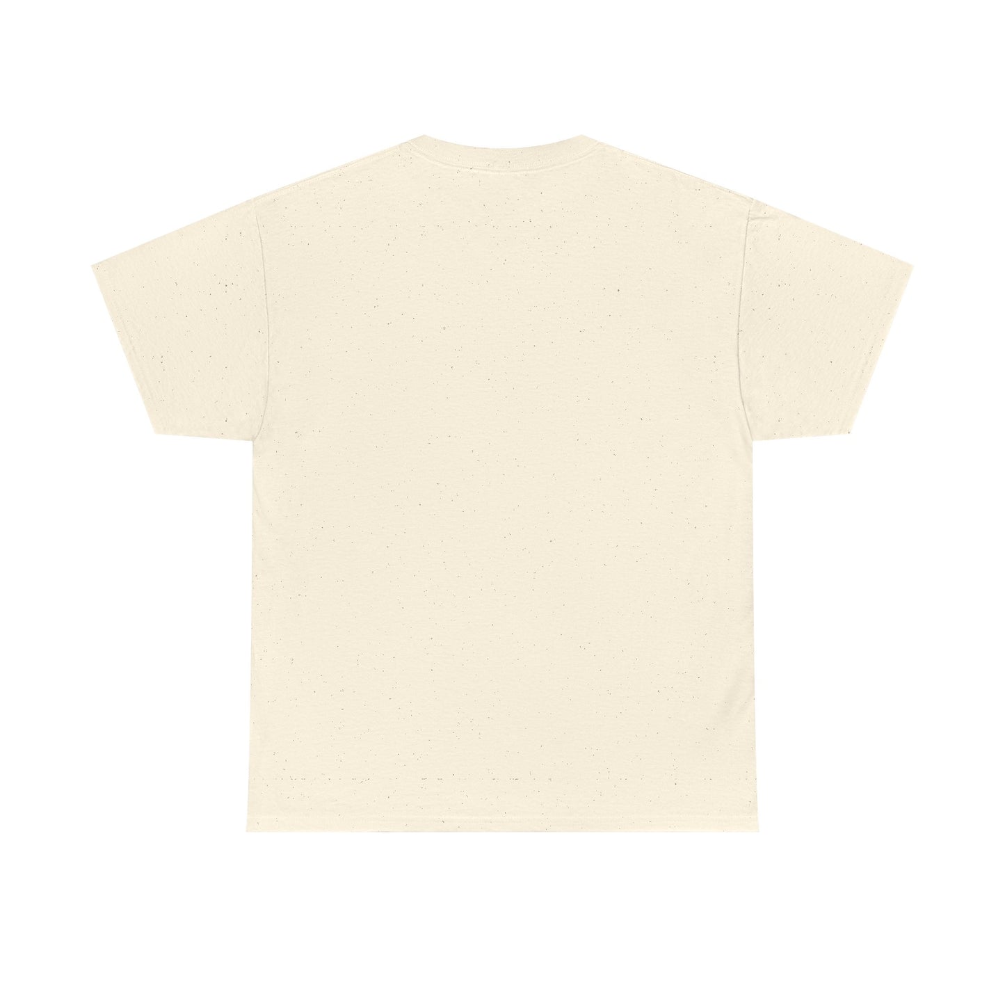 HOLY SPIRIT U. Collegiate Tee 🔥 EST. Pentecost | Comfort Colors
