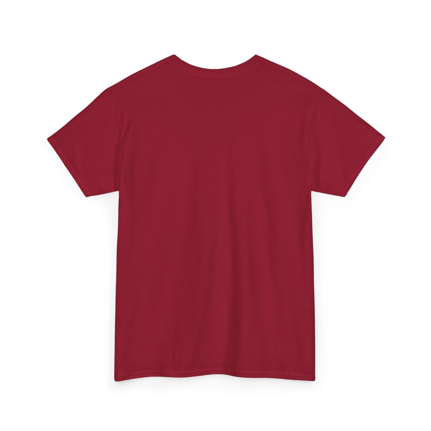 HOLY SPIRIT U. Collegiate Tee 🔥 EST. Pentecost | Comfort Colors