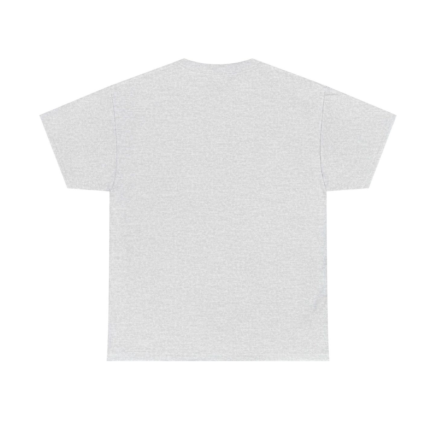 HOLY SPIRIT U. Collegiate Tee 🔥 EST. Pentecost | Comfort Colors