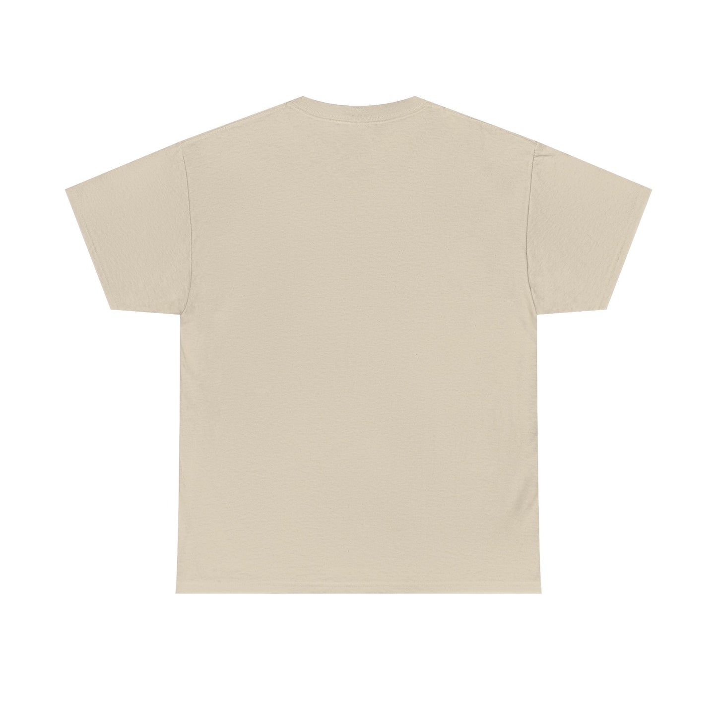 HOLY SPIRIT U. Collegiate Tee 🔥 EST. Pentecost | Comfort Colors