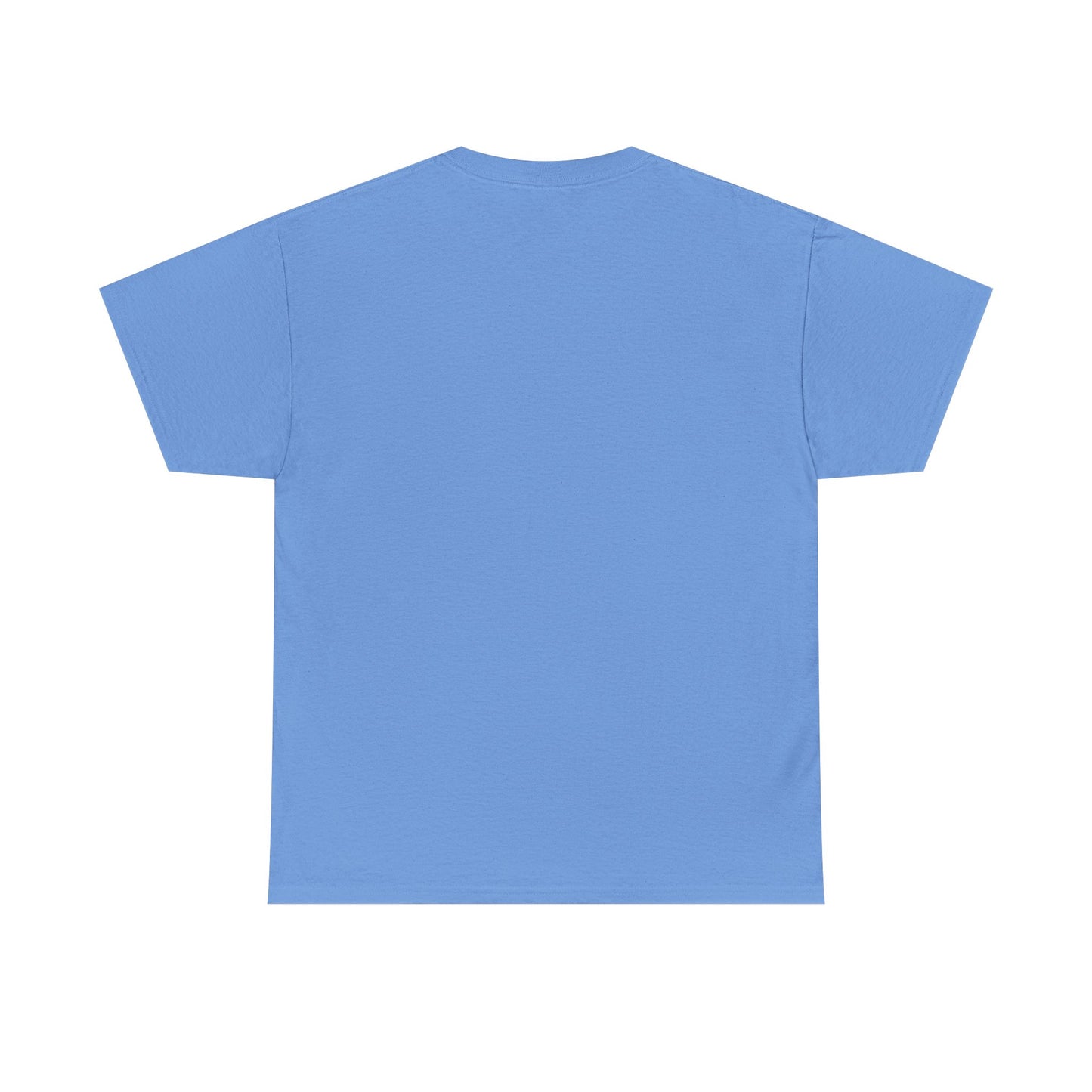 HOLY SPIRIT U. Collegiate Tee 🔥 EST. Pentecost | Comfort Colors