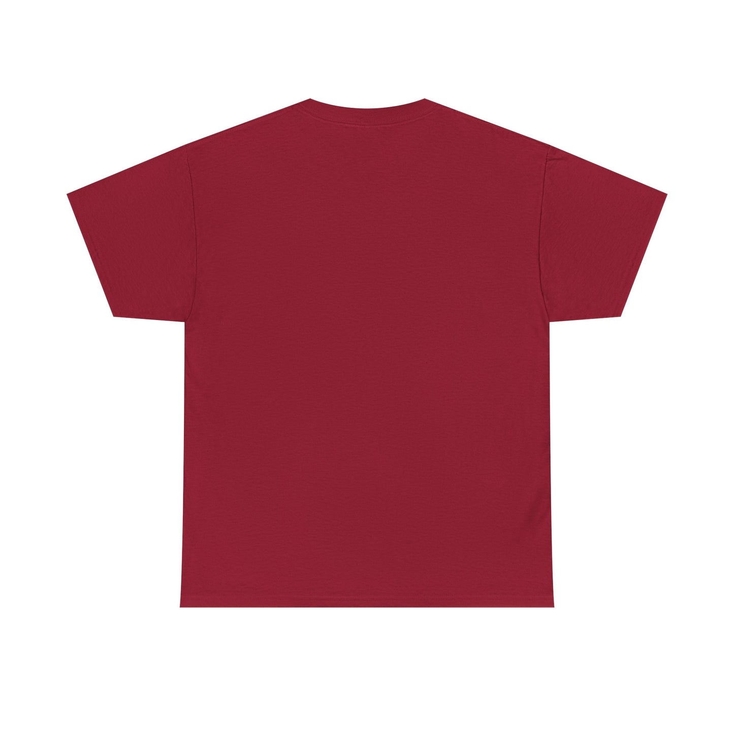 HOLY SPIRIT U. Collegiate Tee 🔥 EST. Pentecost | Comfort Colors