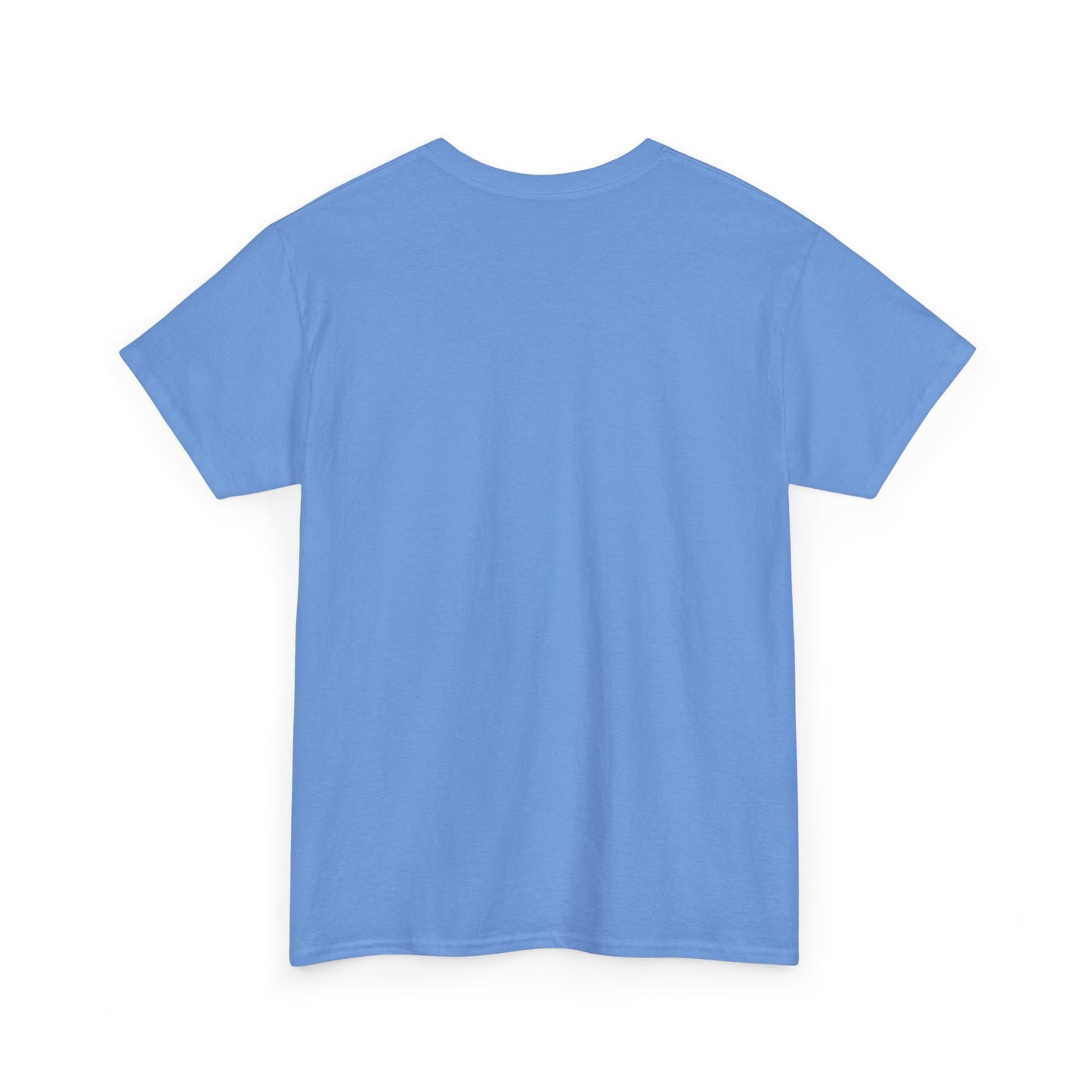 HOLY SPIRIT U. Collegiate Tee 🔥 EST. Pentecost | Comfort Colors